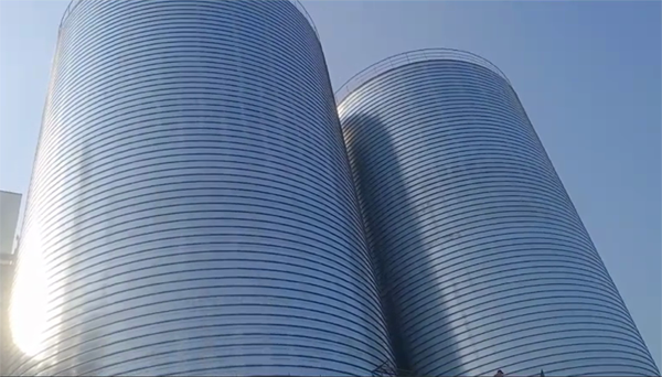 兴和2座混凝土高架卷板仓